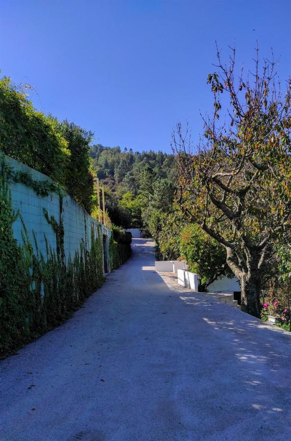 Pera Da Serra - Turismo No Espaco Rural Луса Экстерьер фото